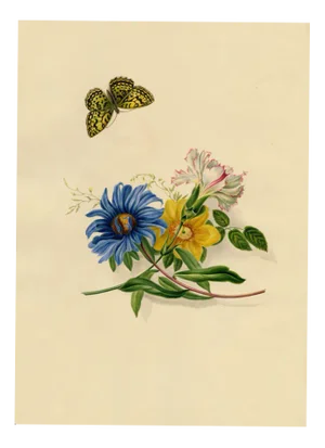 Louisa Hare, Cardinal Butterfly & Flowers, 1832, Watercolor