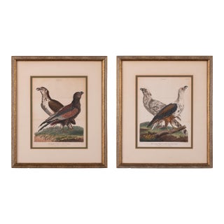 John Pass After Reinhold Eagle Engravings, c.1805 - Set of 2 For Sale