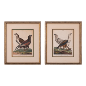 John Pass After Reinhold Eagle Engravings, c.1805 - Set of 2
