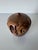 1970s 1979 Hap Sakwa Sculptural Burl Wood Turned Vase For Sale - Image 5 of 12