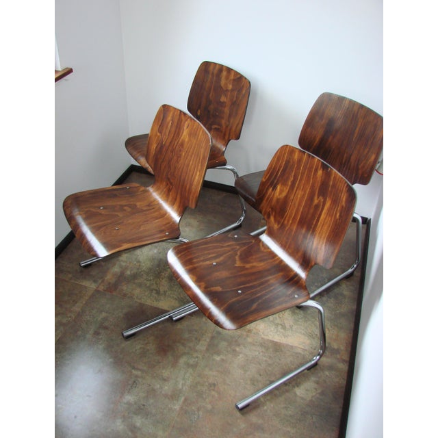 Brown Flötotto Chairs by Kusch+Co, 1960s, Set of 4 For Sale - Image 8 of 15