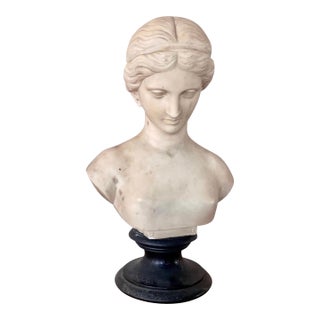 Italian Carved Marble Bust of a Young Woman For Sale