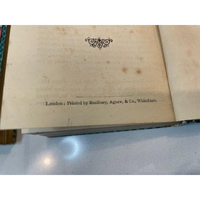 1877 Sir Walter Scott 31-Volume Set With Original Bookcase For Sale - Image 10 of 18