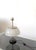 Alfa Table Lamp by Artemide for Sergio Mazza, 1959 For Sale - Image 6 of 12