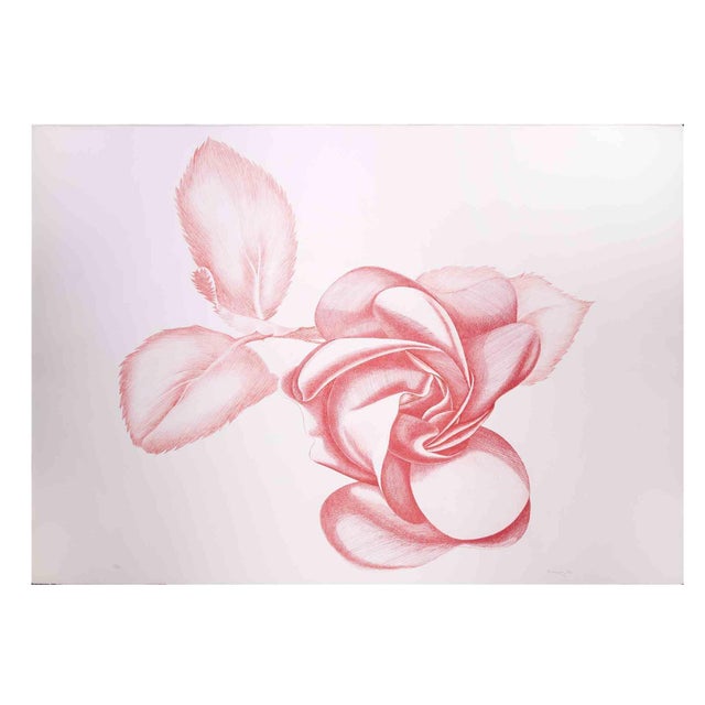 Giacomo Porzano, Red Rose, Original Etching, 1970s For Sale