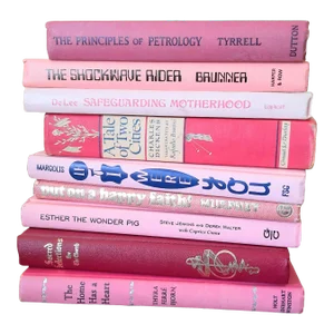 Vintage Pink Book Bookstack Library Barbiecore Books Barbie Hot Pink