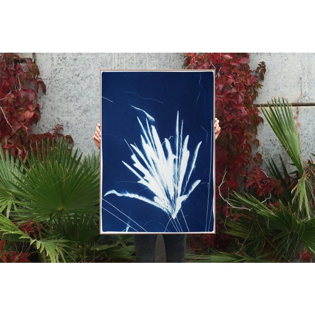 Paper 2020 "Sparkling Firework Burst" Contemporary Cyanotype by Kind of Cyan For Sale - Image 7 of 12