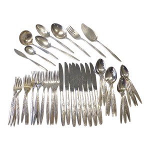 Mid Century Modern 48 Piece Oneida Community Enchantment Gentle Rose Silverplate Flatware Set 1960