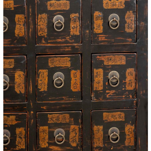 19th Century Chinese Apothecary Cabinet, 19th Century For Sale - Image 5 of 11