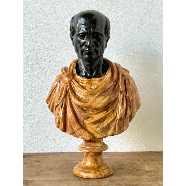 Vintage Grand Tour Plaster Bust of Man For Sale In West Palm - Image 6 of 12