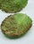 Vintage Majolica Italian Cabbage Leaf Small Platers - A Pair For Sale In New York - Image 6 of 8