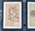 4 Authentic Antique Pressed Wildflowers Botanicals 1900s Beautifully Composed Swedish Herbarium Specimens Professionally Framed For Sale - Image 4 of 8