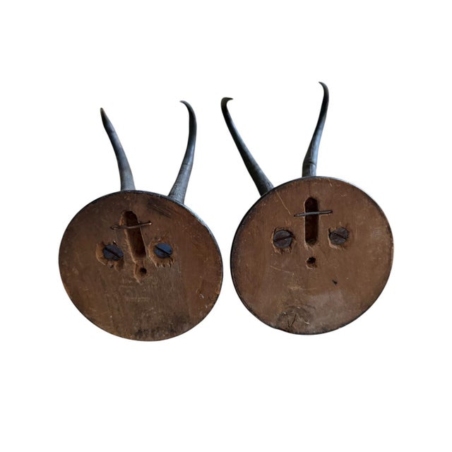 1900s Pair Chamois Goat Horn Trophies Black Forest Mount For Sale - Image 4 of 4