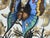 Paper Victorian Style, Framed Butterfly Prints, Gilt, Painted Wood, Usa, 20th C. For Sale - Image 7 of 12