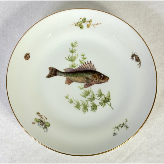 Italian Richard Ginori Fish Plates Set of 5 Chairish