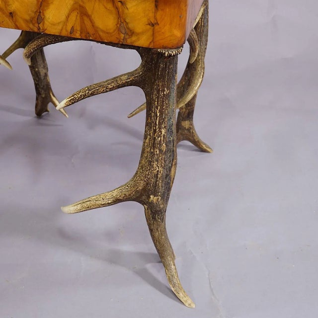 Brown Black Forest Antler Arm Chair by J. A. K. Horn, Turingen 1840s For Sale - Image 8 of 10