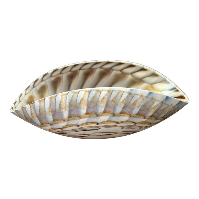 1950s Murano Attributed- Nautilus Glass Shell Bowl For Sale