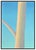 1980s Tree at My Window Diptych, John Beerman For Sale In Minneapolis - Image 6 of 8