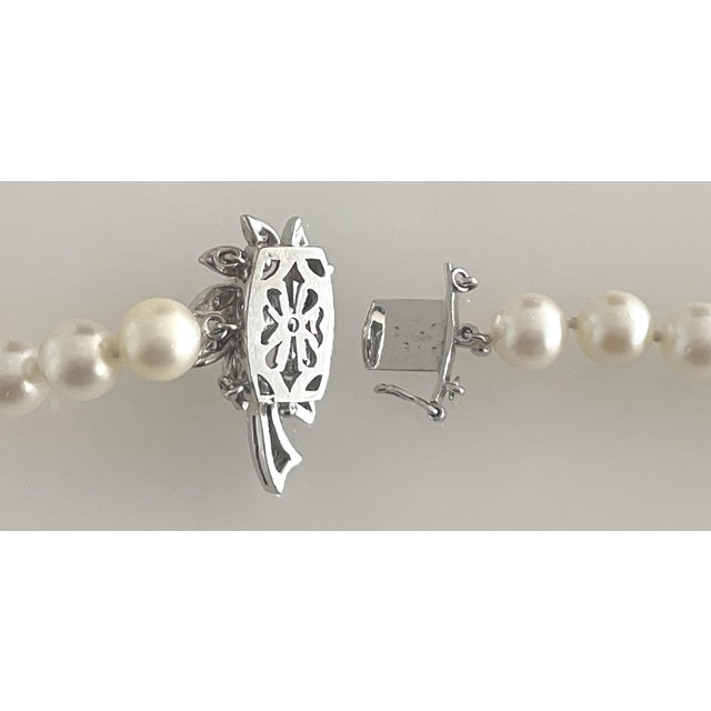 1950s 1950s Akoya Pearls With 14k White Gold & Diamond Clasp 31" For Sale - Image 5 of 8