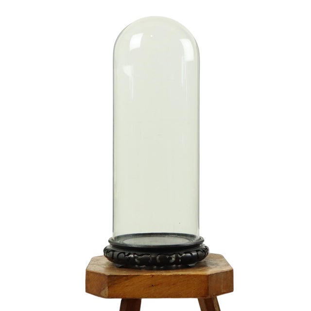 Large Antique Mouth-Blown Glass Dome on Asian Wooden Base, 1890s For Sale - Image 11 of 11
