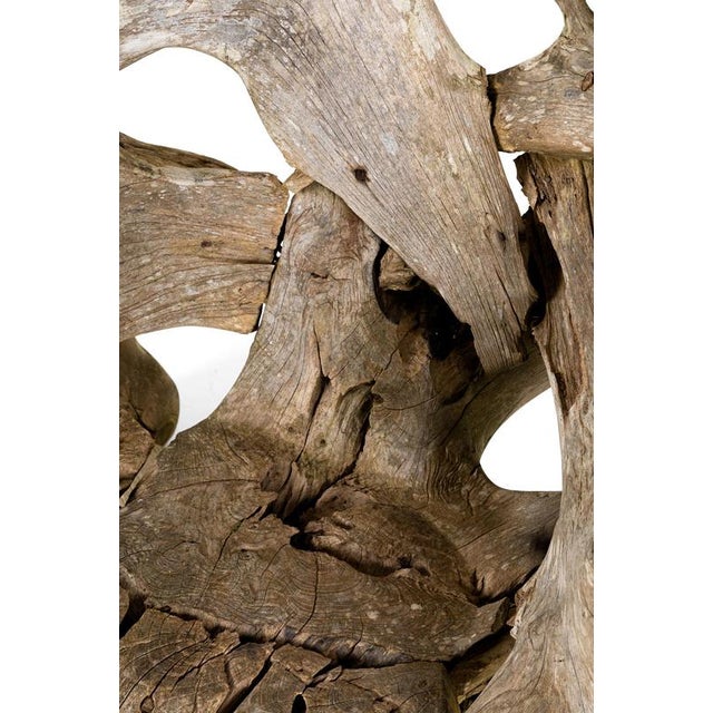 Teak Root Wood Armchairs, Set of 2 For Sale - Image 10 of 17