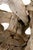 Teak Root Wood Armchairs, Set of 2 For Sale - Image 10 of 17