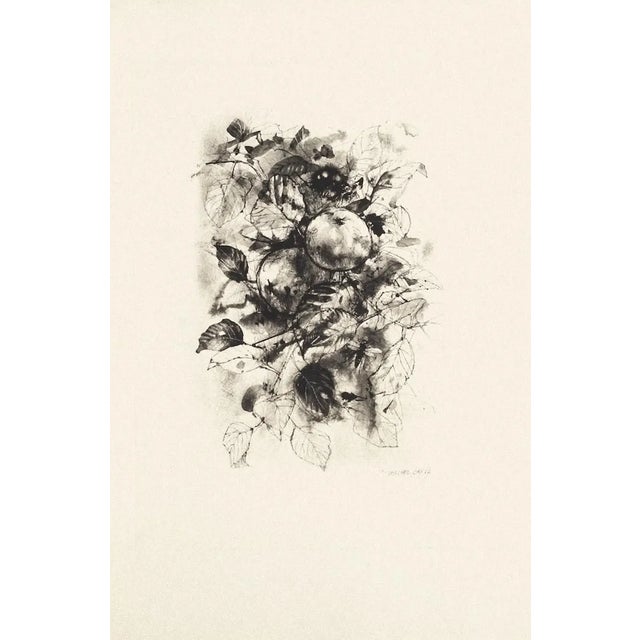 Fruit - Original Etching by Michel Ciry - 1964 1964 For Sale