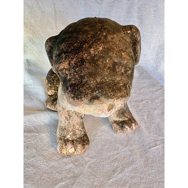 Early 20th Century French Terracotta Bulldog Garden Sculpture For Sale - Image 10 of 13