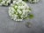 Wood White Green Floral Napkin Ring - Set of 10 For Sale - Image 7 of 16