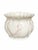 Shell Belleek Georgian Shell Ivory and Blush Pink Parian Porcelain Cachepot With Gold Rim For Sale - Image 7 of 10