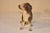 Victorian 19th Century Austrian Terracotta Dog For Sale - Image 3 of 9