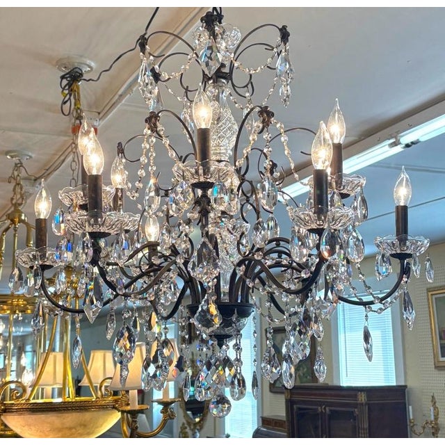 Traditional Schonbek 17124-76 Century 12 Light Black Frame Crystal Chandelier For Sale - Image 3 of 10