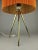 Gold Mid-Century Tripod Floor Lamp, 1950s For Sale - Image 8 of 13