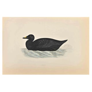 Alexander Francis Lydon, Scoter, Woodcut Print, 1870 For Sale
