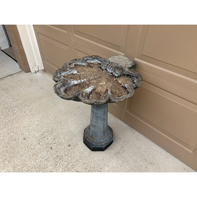 Vintage Grotto Style Cast Concrete Shell Birdbath For Sale - Image 4 of 12