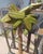 1960s Vintage Folk Art Palm Tree For Sale - Image 5 of 9