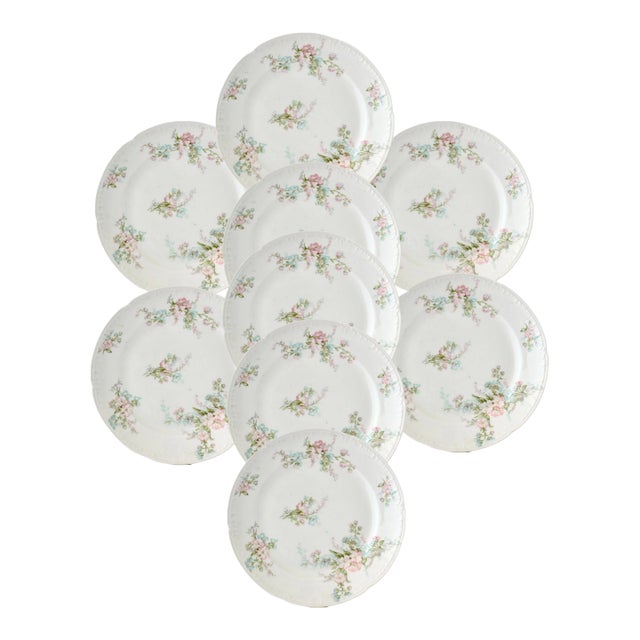French Limoges Luncheon Plates, Set of 9 For Sale