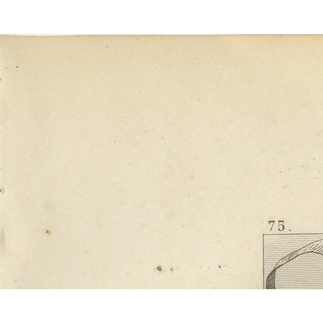 Paper Antique Map of Seine-Inférieure with Le Havre and Corneille, 1860 For Sale - Image 7 of 12
