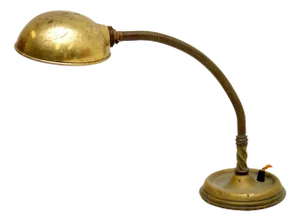Antique Brass Goose Neck Desk Lamp, 1910s
