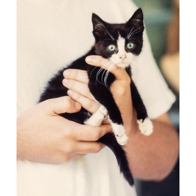 American Tracey Baran Man & Kitten Chromogenic Print, 1998 For Sale - Image 3 of 5