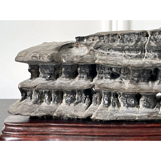 Chinese Scholar Rock Wuling Stone on Stand For Sale - Image 9 of 13