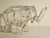 Figurative Elephant Shaped Decorative Jar/Container For Sale - Image 3 of 7