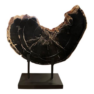 Andrianna Shamaris Impressive High Quality Petrified Wood or Sculpture For Sale