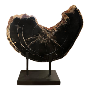 Andrianna Shamaris Impressive High Quality Petrified Wood or Sculpture