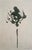 Dark Green Set of 6 - One-of-a-Kind Dark Green Botanical Organic Modern Original Oil Paintings / Herbarium / Floral / Earth Tones For Sale - Image 8 of 11