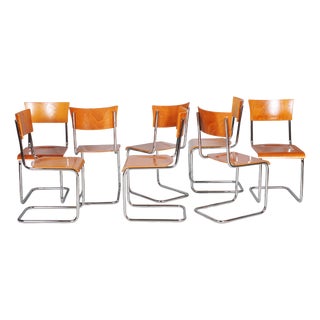 Vintage Bauhaus Chairs in Beech and Chrome, Czech, 1930s, Set of 8 For Sale