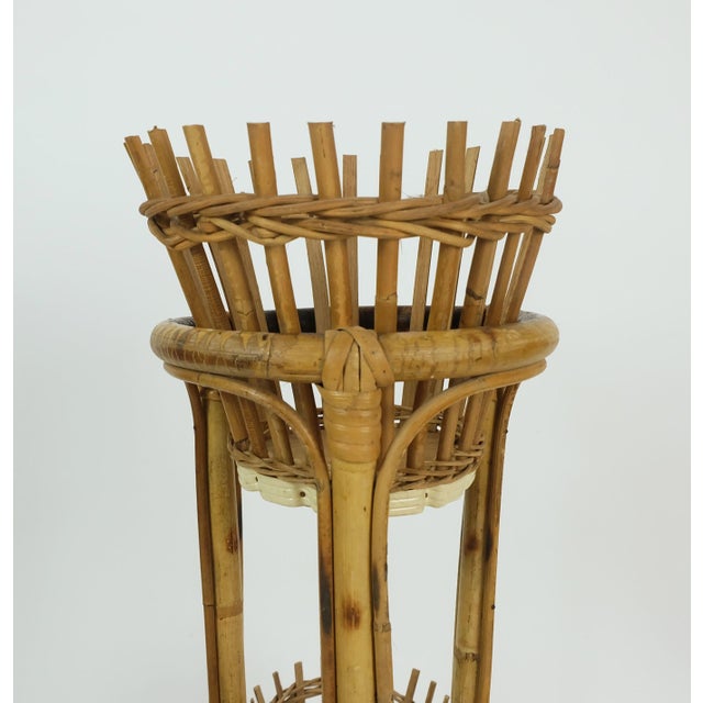 Mid-Century Tiki Plant Stand in Bamboo Rattan, 1950s For Sale - Image 6 of 11