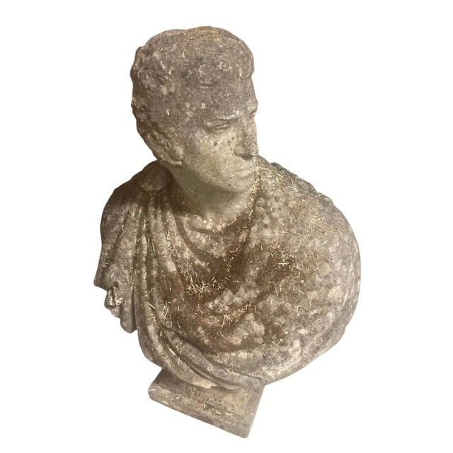 Antique English Neoclassical Cast Stone Bust on Sandstone Plinth For Sale - Image 4 of 12