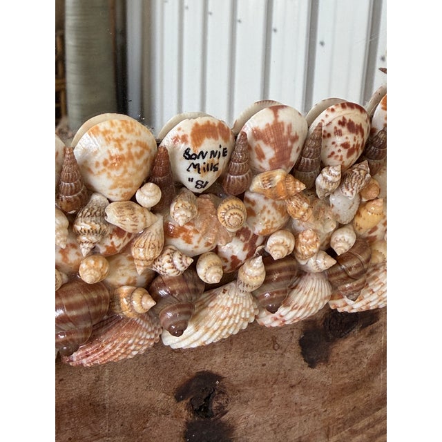 Vintage Organic Coastal Seashell Wall Mirror For Sale In Naples, FL - Image 6 of 9