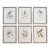 Set of 6 French Hummingbird Prints by Louis Bevalet Framed For Sale